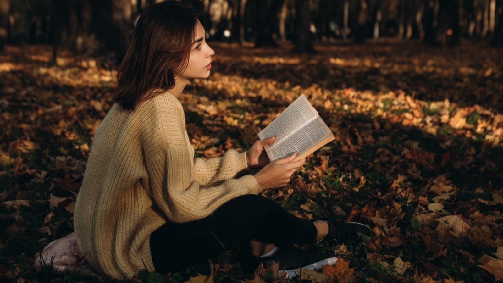 Woman reading book in forest